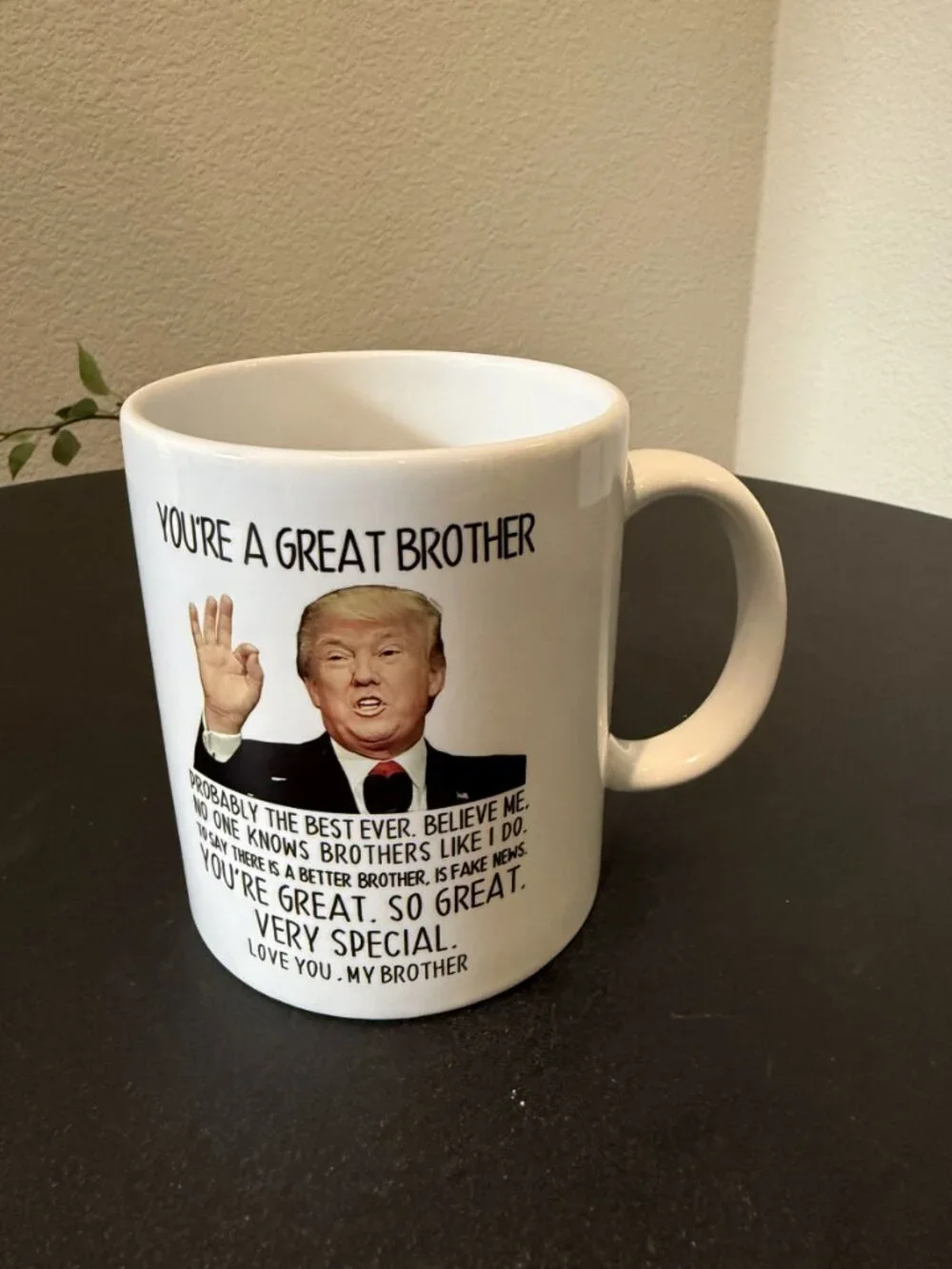 Trump Great Brother Novelty Mug, White Ceramic Gag Gift Cup